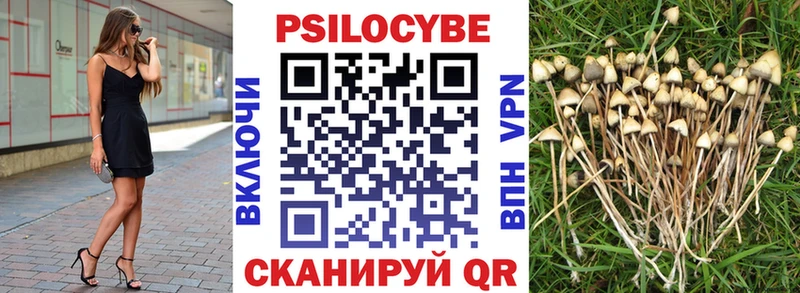 Галлюциногенные грибы мицелий  omg зеркало  Пыть-Ях  сколько стоит 