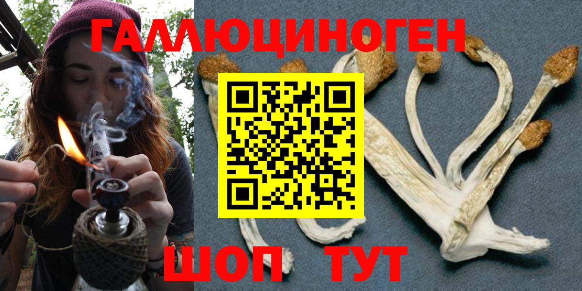Пыть-Ях  Галлюциногенные грибы MAGIC MUSHROOMS  Вход с VPN 
