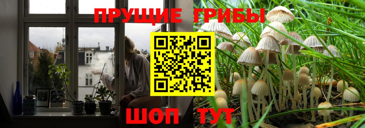 Галлюциногенные грибы Psilocybine cubensis Пыть-Ях